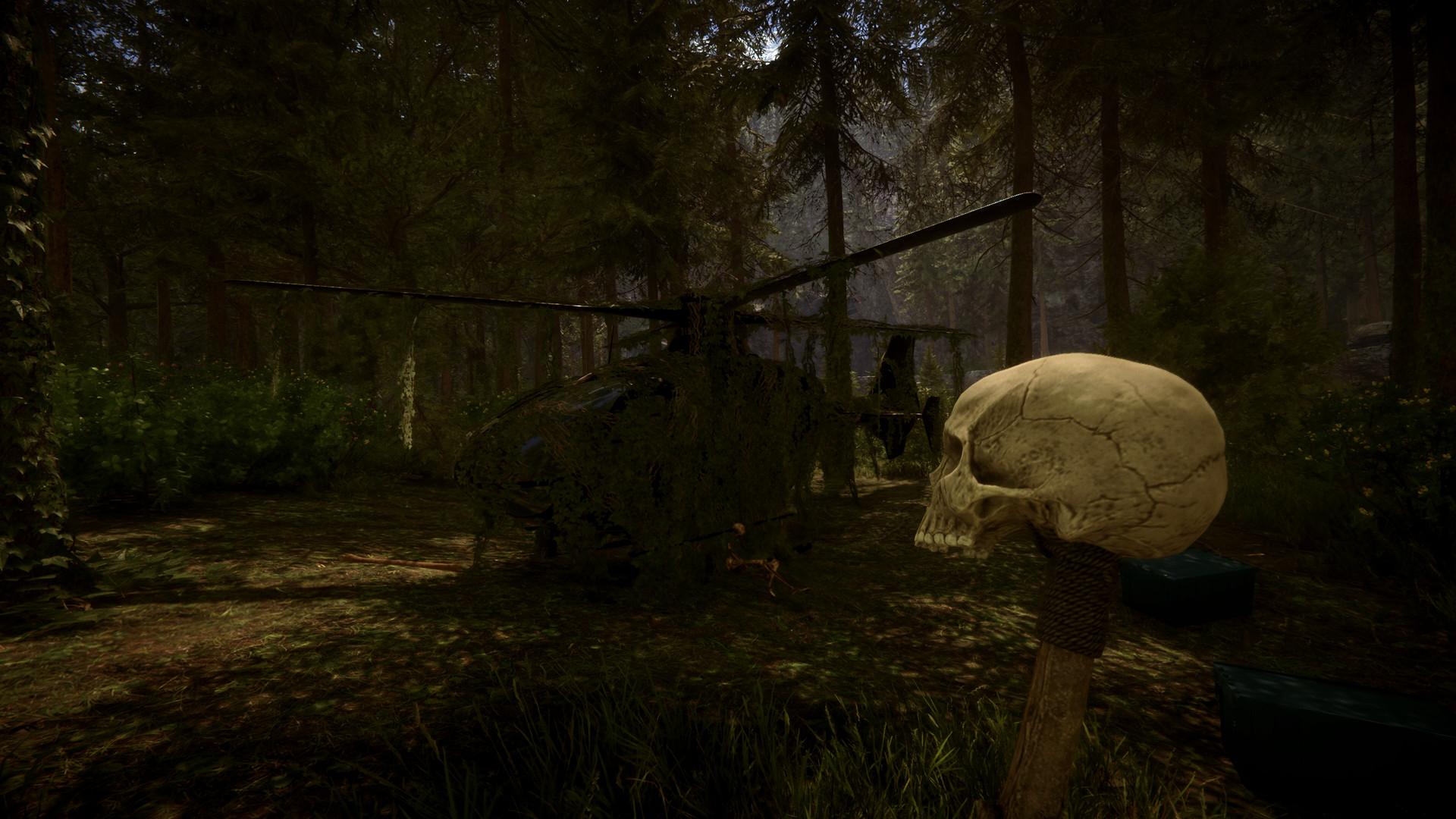 Sons of the Forest Won't Explain the Forest